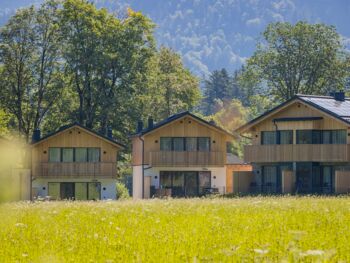 The chalets of DAS Hintersee in a green meadow in the sunshine