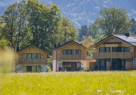 The chalets of DAS Hintersee in a green meadow in the sunshine