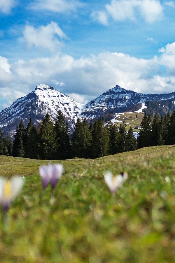 Zwei Tourengeher steigen den schneebedeckten Berg hinauf